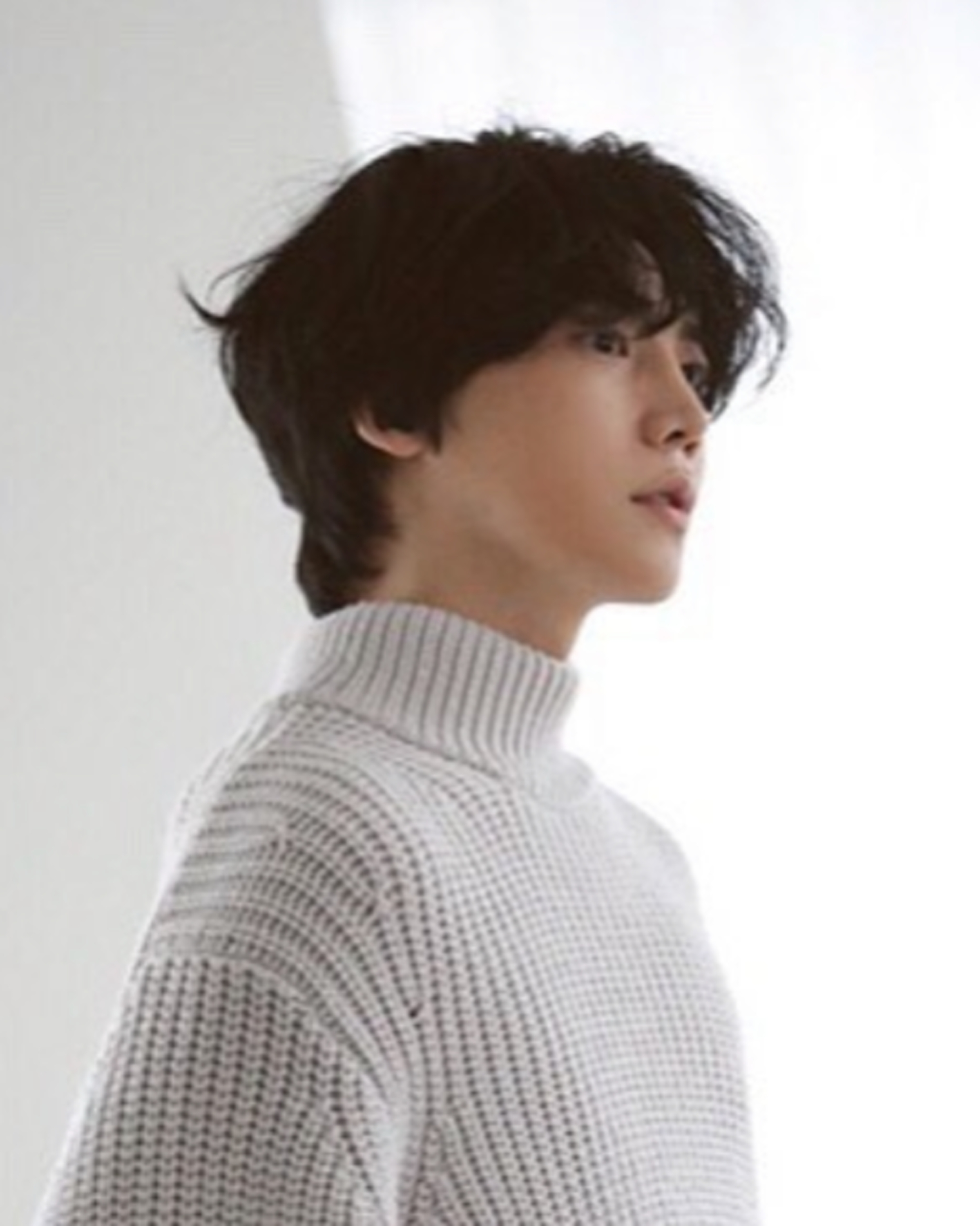 차보성