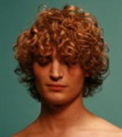 니엘스 슈나이더