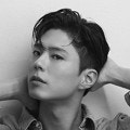 박보검